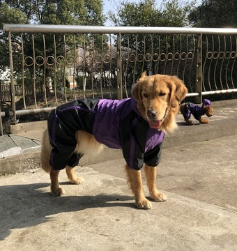 Waterproof Dog Raincoat for Large Breeds